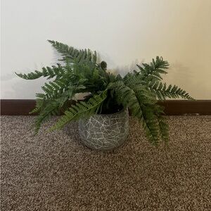Geometric Gray Planter with Green Ferns